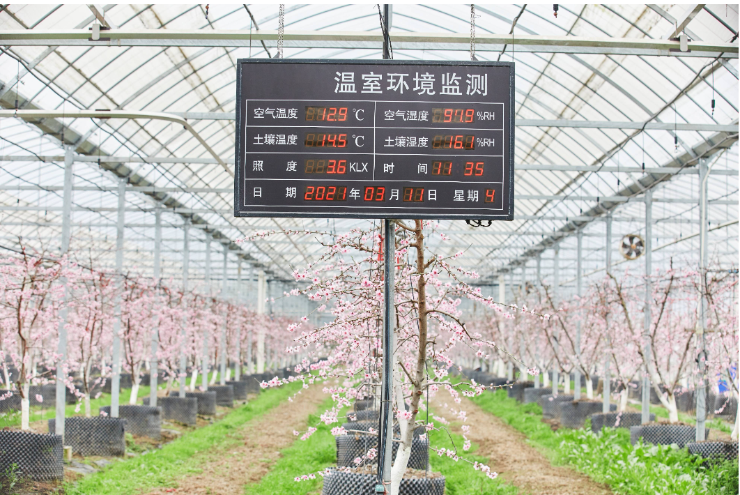 image-20230426105155237