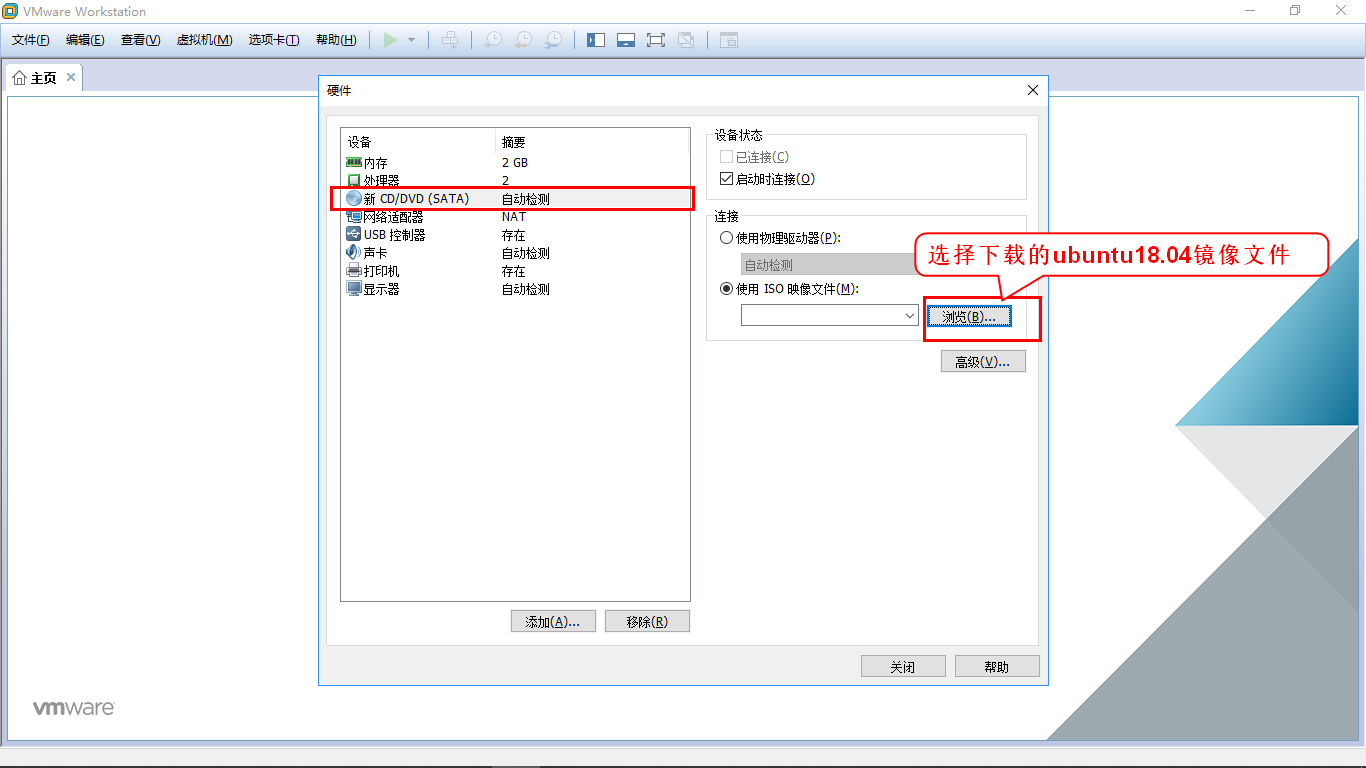 image-20240205162807976