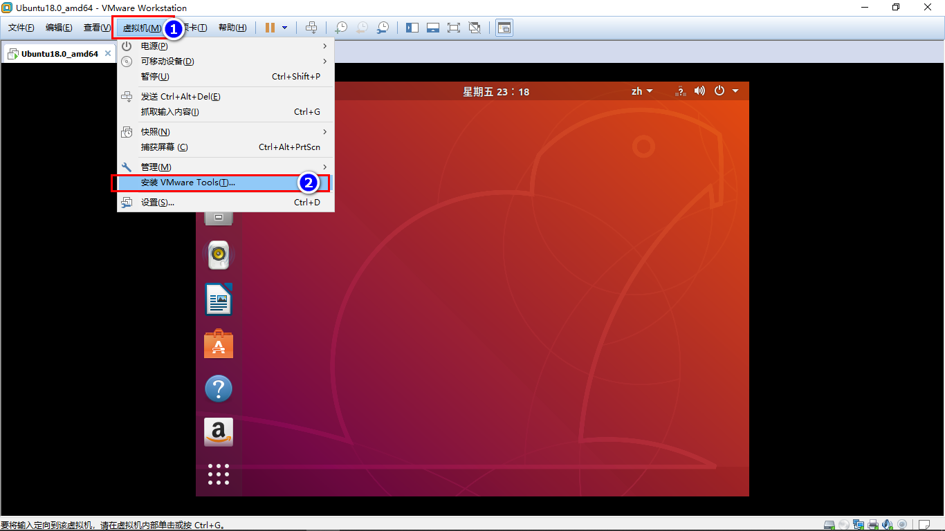 image-20240205163246513