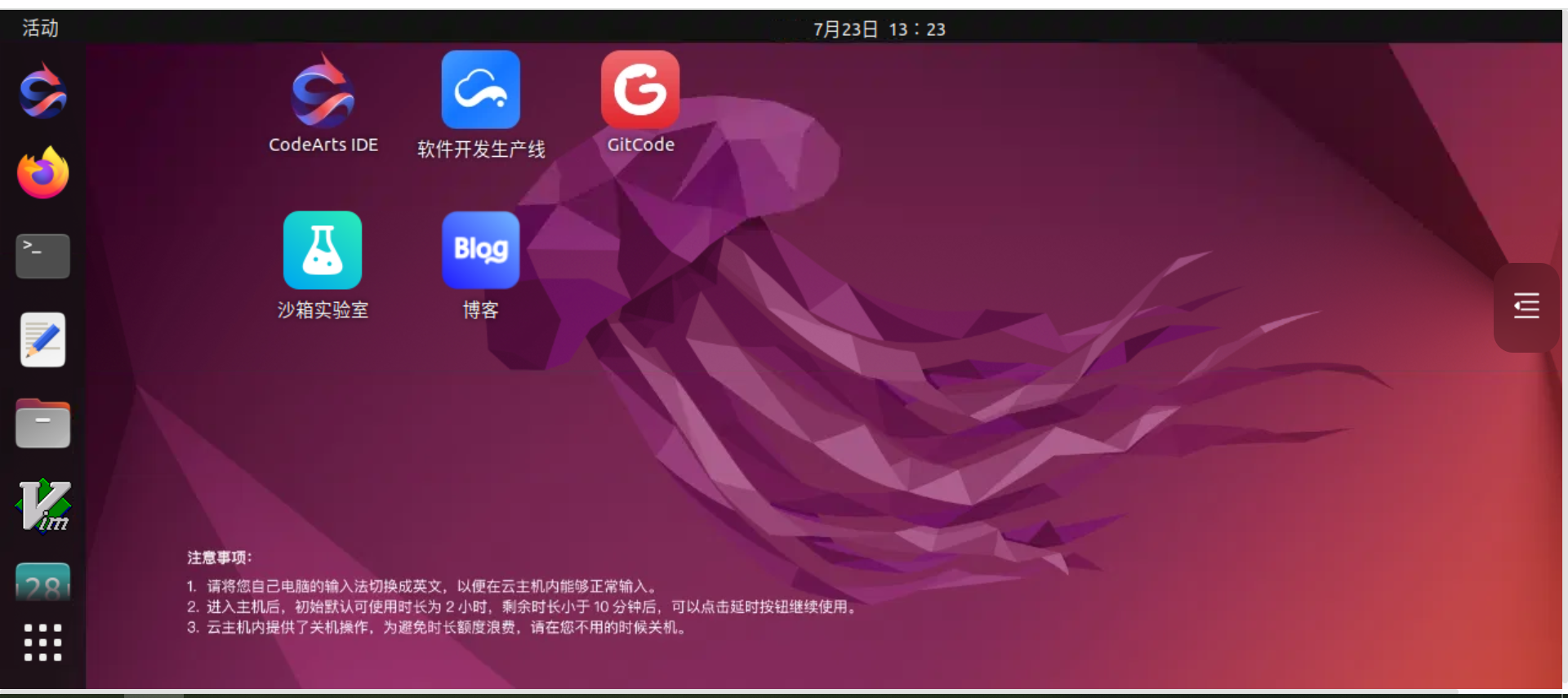 image-20240723132327017