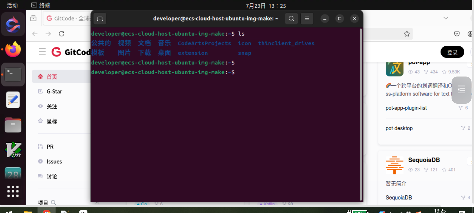 image-20240723132512988