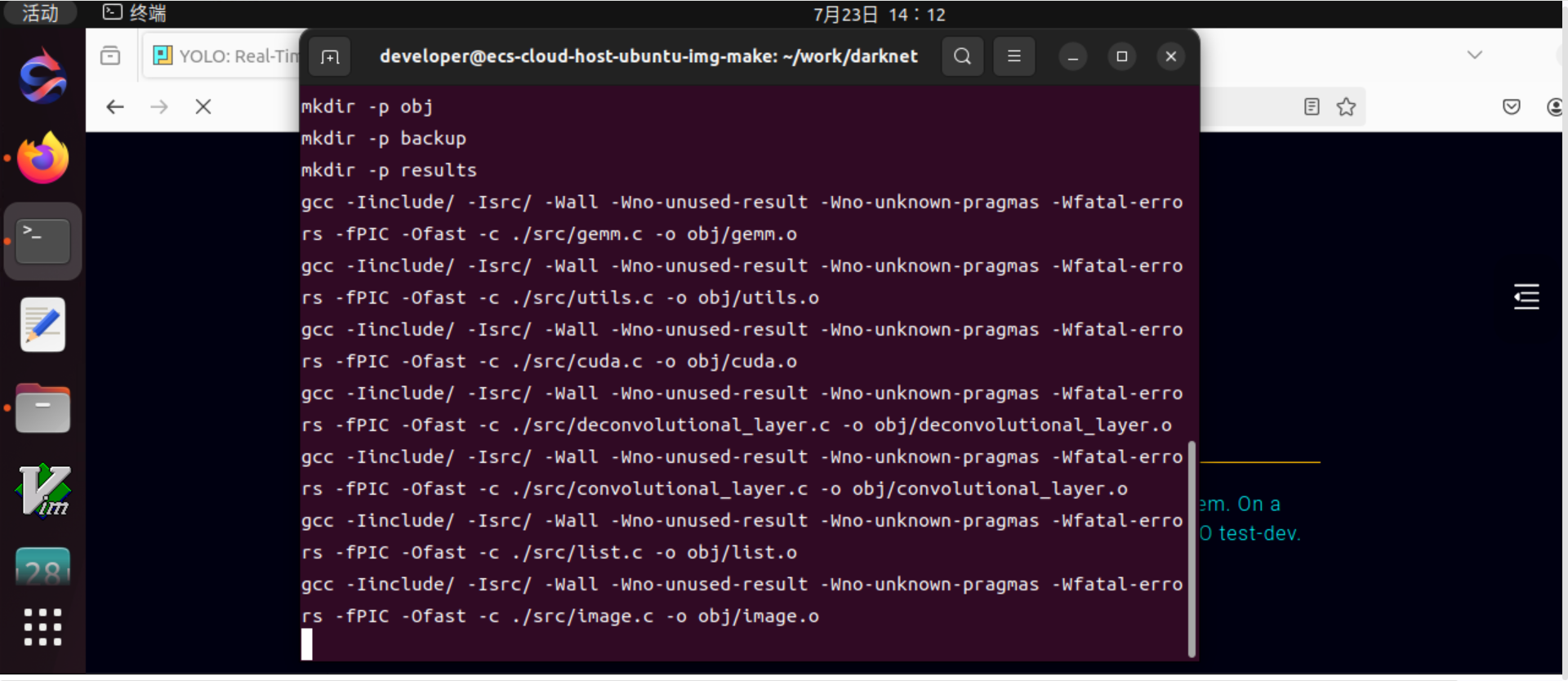 image-20240723141221396