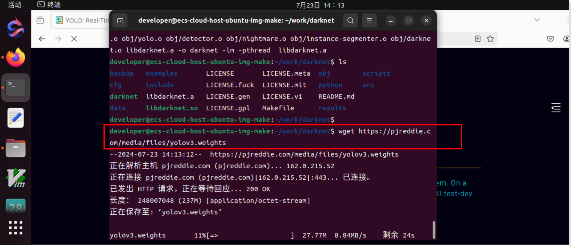 image-20240723141330410