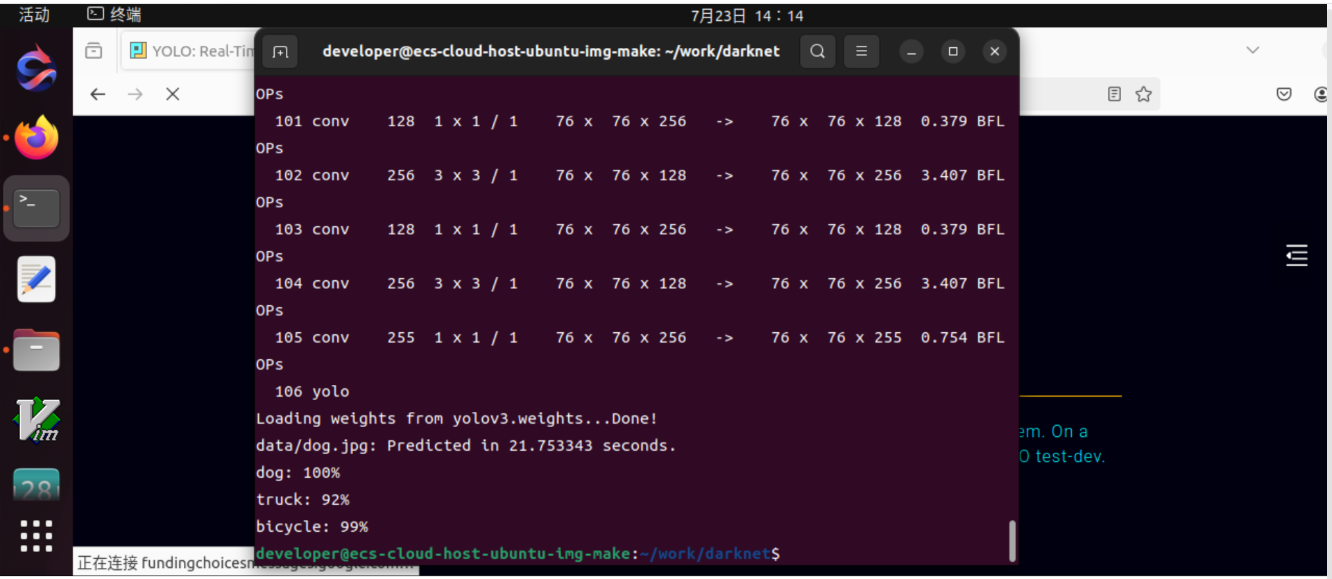 image-20240723141452641