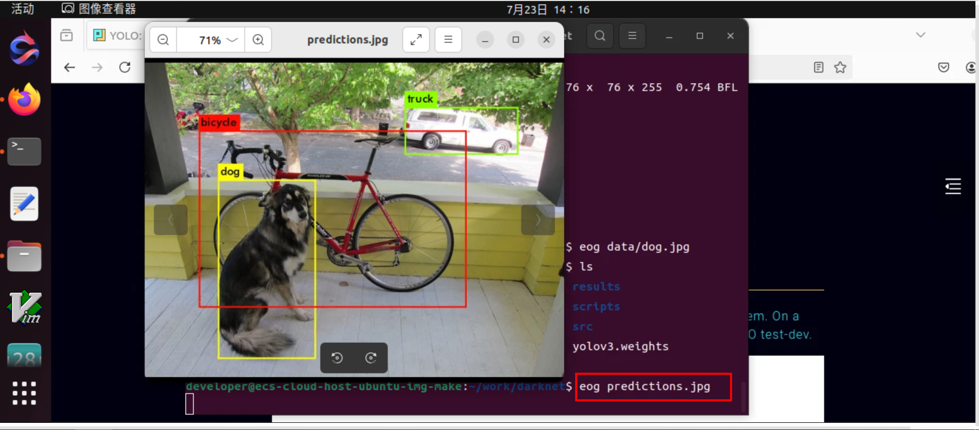 image-20240723141643765