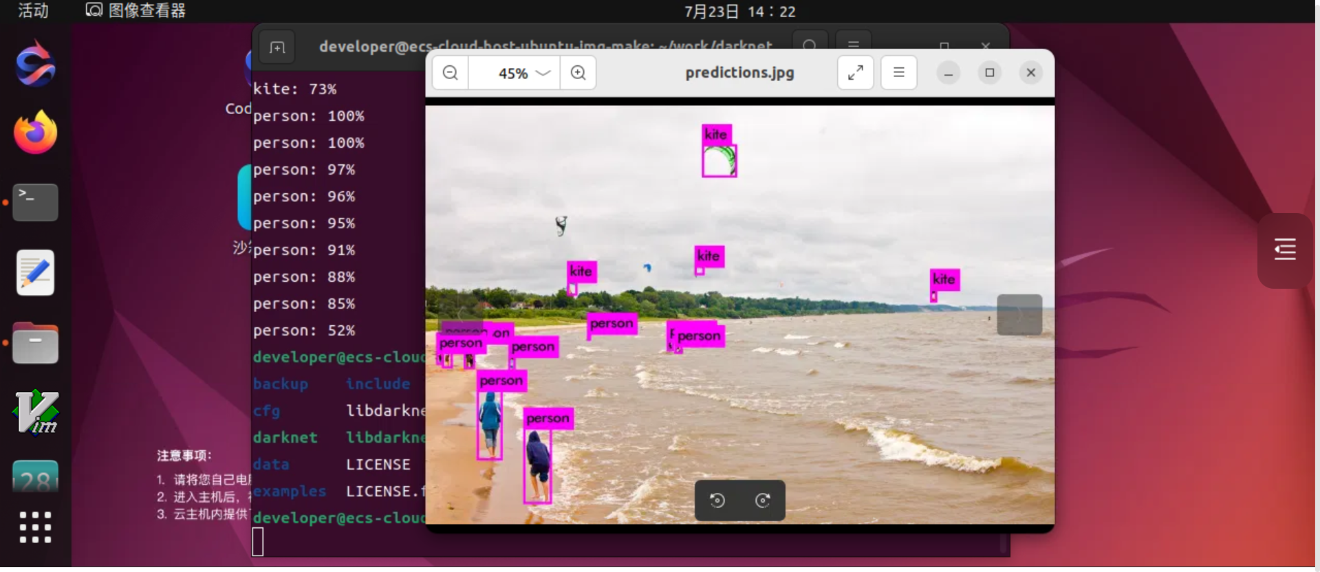 image-20240723142208345