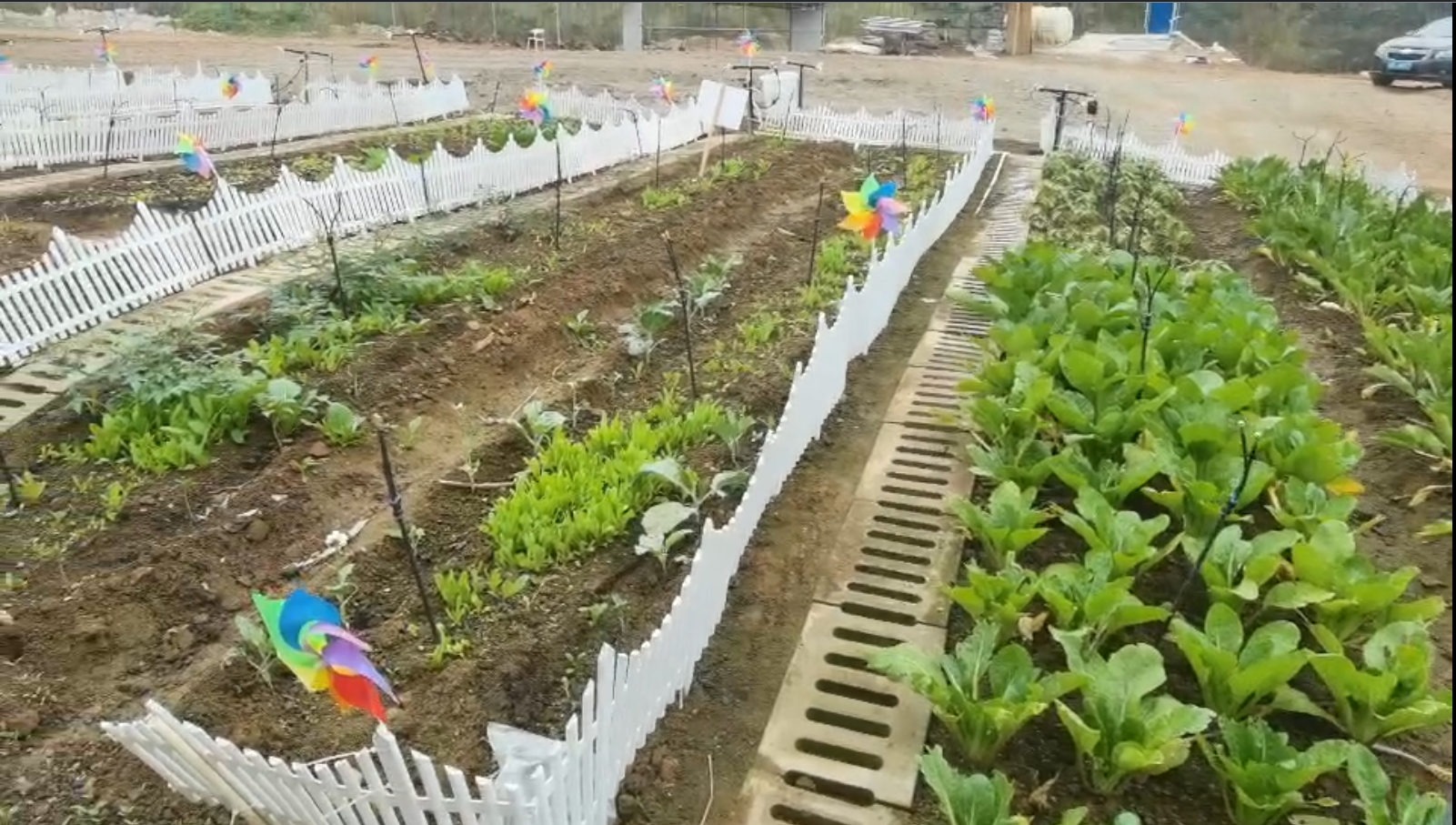 image-20241225013719765