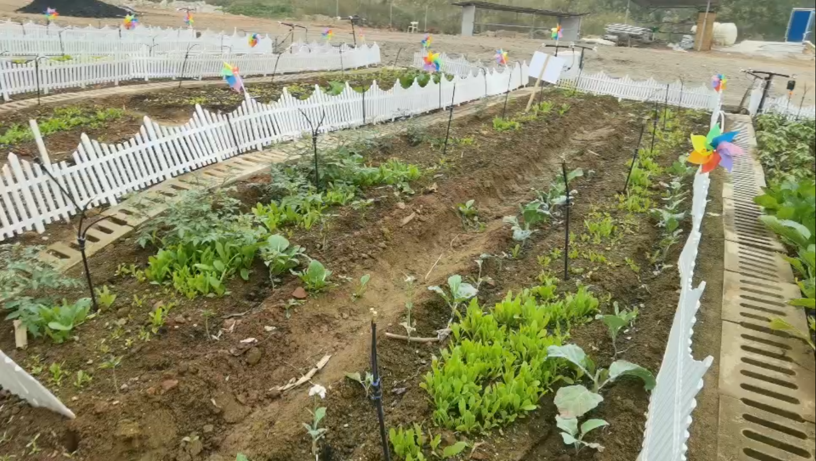 image-20241225013734167