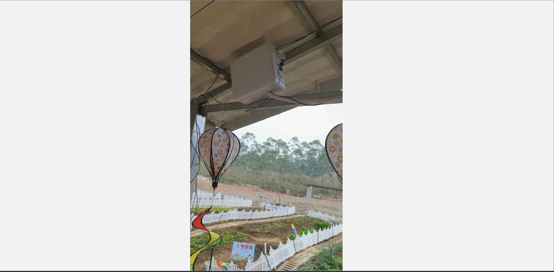 image-20241225013811002