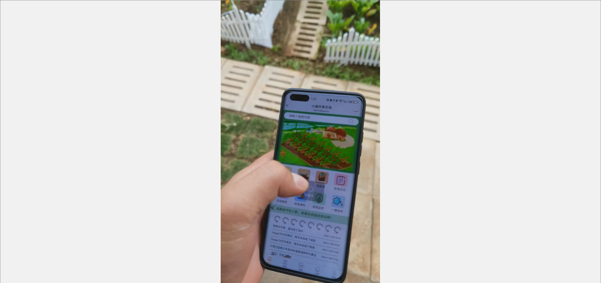 image-20241225013847703