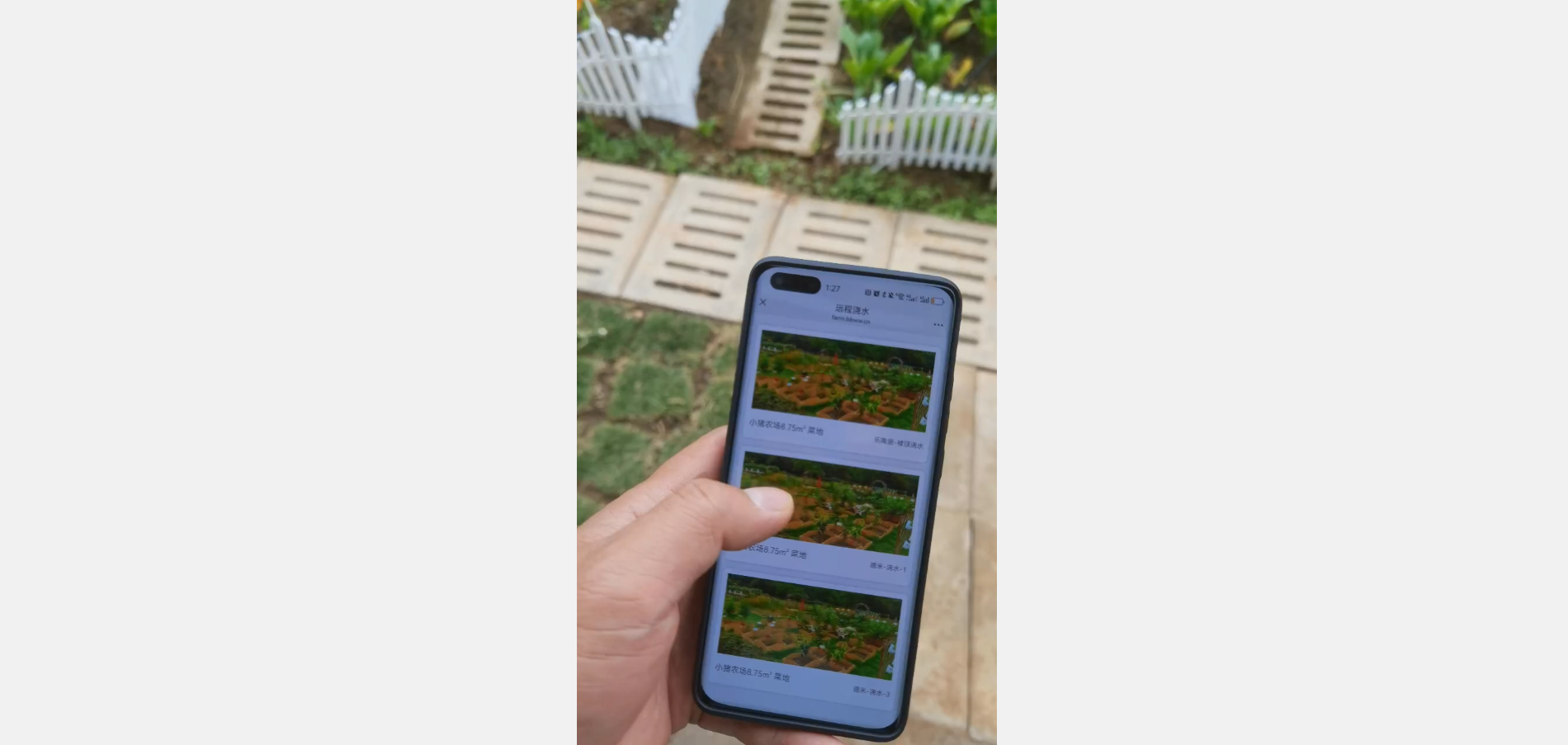 image-20241225013914964