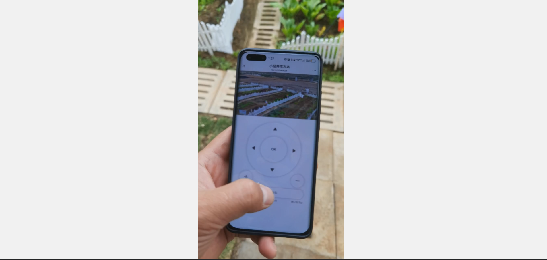 image-20241225013934862