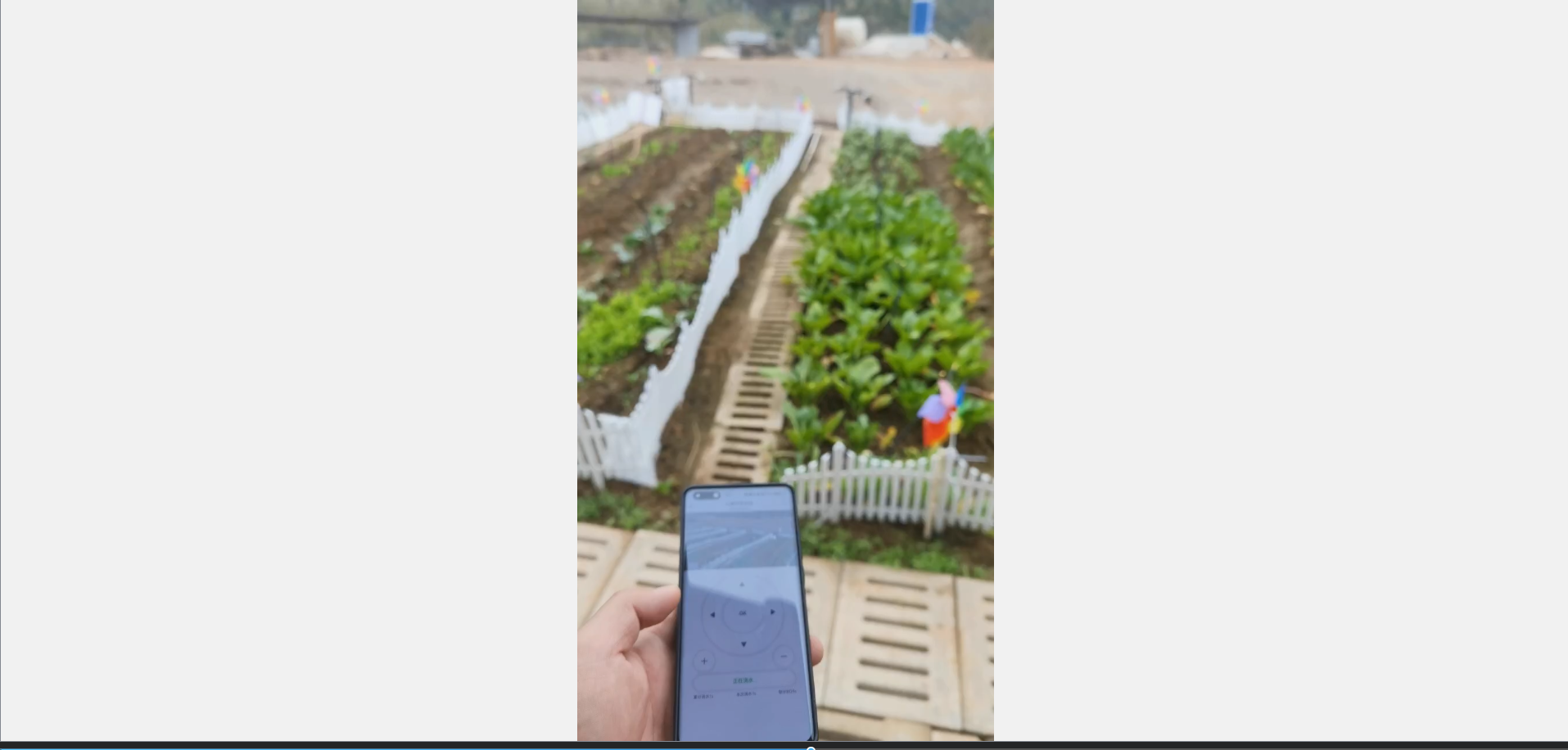 image-20241225014002710