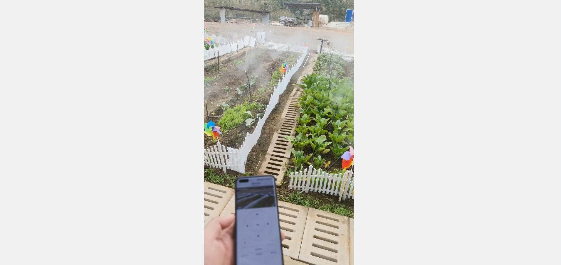 image-20241225014105666